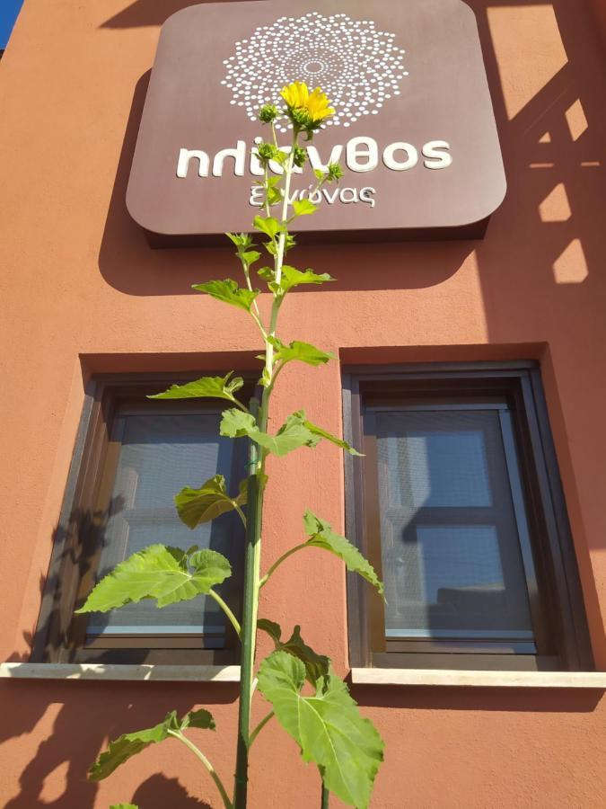 Helianthus Guesthouse Ammouliani Exterior photo